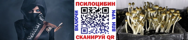кракен рабочий сайт  Никольск  Псилоцибиновые грибы Cubensis 